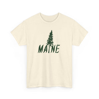 Maine Pine Tree