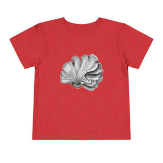 Scallop Shell- Toddler