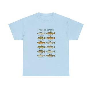 Fish of Maine Unisex Tee
