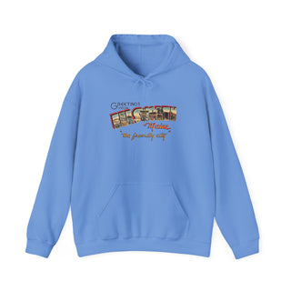 Ellsworth Postcard Hoodie