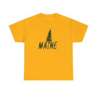 Maine Pine Tree