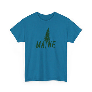 Maine Pine Tree
