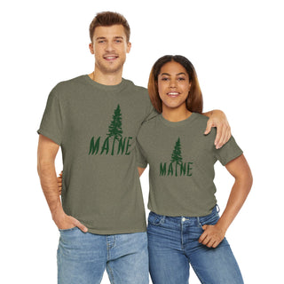 Maine Pine Tree