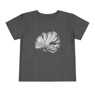 Scallop Shell- Toddler