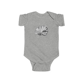 Scallop Shell- Baby