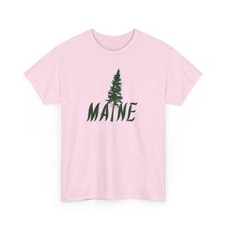 Maine Pine Tree