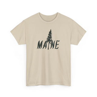 Maine Pine Tree