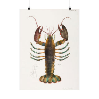 Vintage Maine Lobster Poster, Maine wall art print