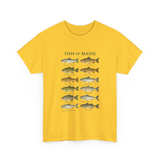 Fish of Maine Unisex Tee