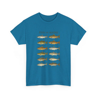 Fish of Maine Unisex Tee