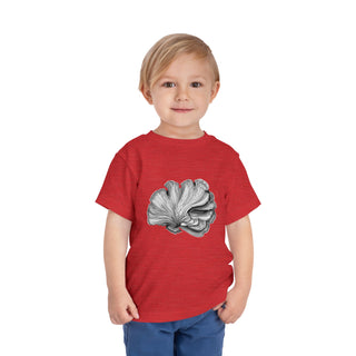 Scallop Shell- Toddler