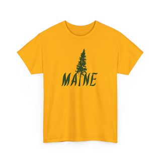 Maine Pine Tree