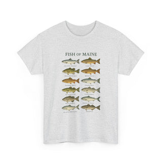 Fish of Maine Unisex Tee