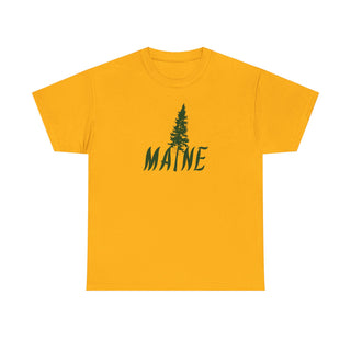 Maine Pine Tree