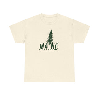 Maine Pine Tree