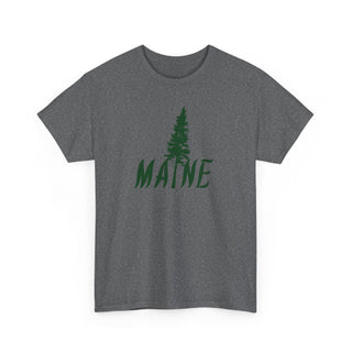 Maine Pine Tree