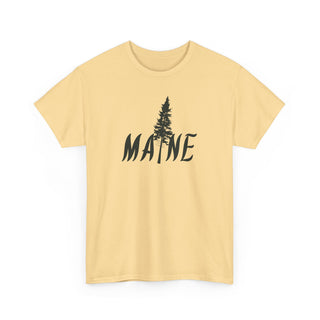 Maine Pine Tree