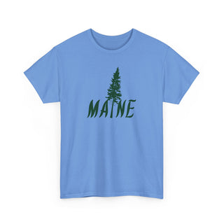 Maine Pine Tree