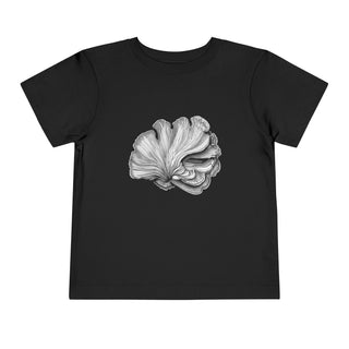 Scallop Shell- Toddler