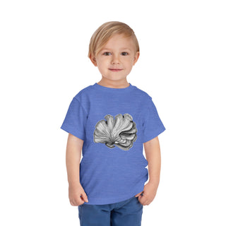 Scallop Shell- Toddler