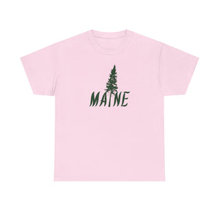 Maine Pine Tree