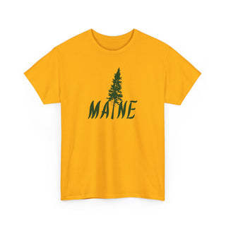 Maine Pine Tree