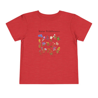 Maine Wildflowers- Toddler