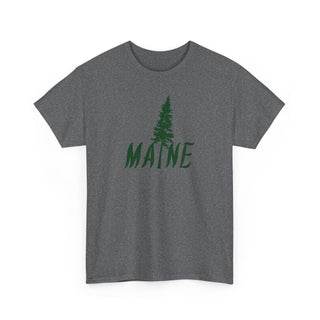 Maine Pine Tree
