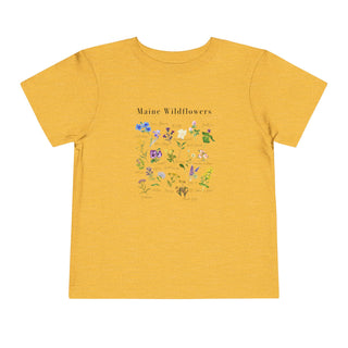 Maine Wildflowers- Toddler