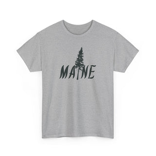 Maine Pine Tree