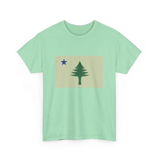Vintage Maine Flag