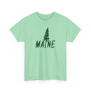 Maine Pine Tree