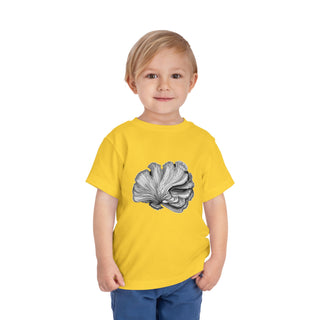 Scallop Shell- Toddler