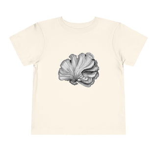 Scallop Shell- Toddler