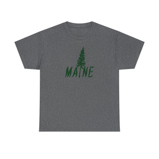 Maine Pine Tree