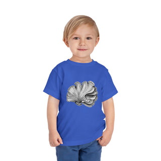 Scallop Shell- Toddler