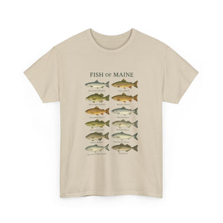Fish of Maine Unisex Tee