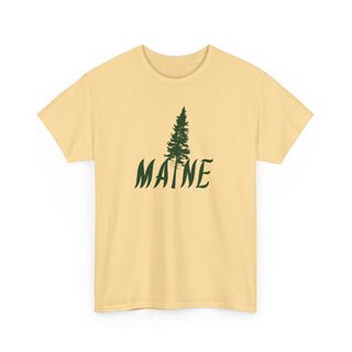 Maine Pine Tree