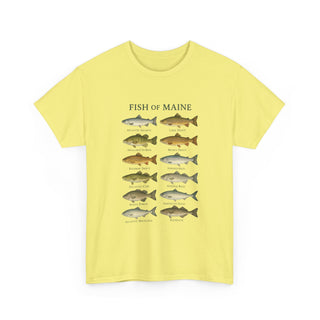 Fish of Maine Unisex Tee