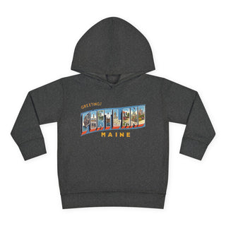 Portland Maine Postcard Unisex Toddler Hoodie
