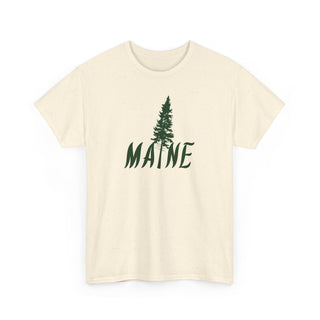 Maine Pine Tree