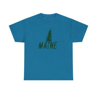 Maine Pine Tree