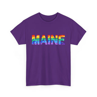 Maine Letters Pride Flag