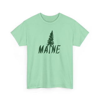 Maine Pine Tree