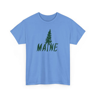 Maine Pine Tree