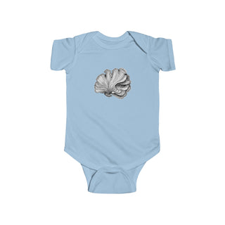 Scallop Shell- Baby