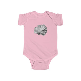 Scallop Shell- Baby