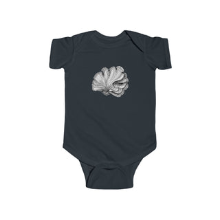Scallop Shell- Baby