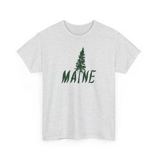 Maine Pine Tree