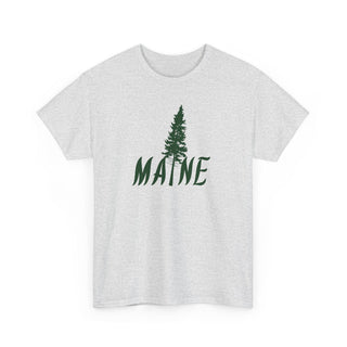 Maine Pine Tree